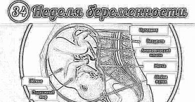Расположение ребенка на 34 неделе беременности